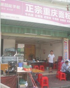 东莞市农村社区集体资产线上平台化实践——以桦城厂侧9号铺位投资管理为例